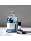 Premium Aromatherapy Diffuser Stone