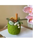Home Aromatherapy Diffuser Stones