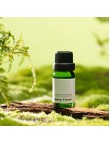 Long lasting Fragrance Essential Oils
