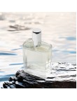 Citrus Woody Fragrance