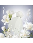 Woody Creamy Fragrance for Women