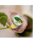 Cucumber Scented Solid Perfume